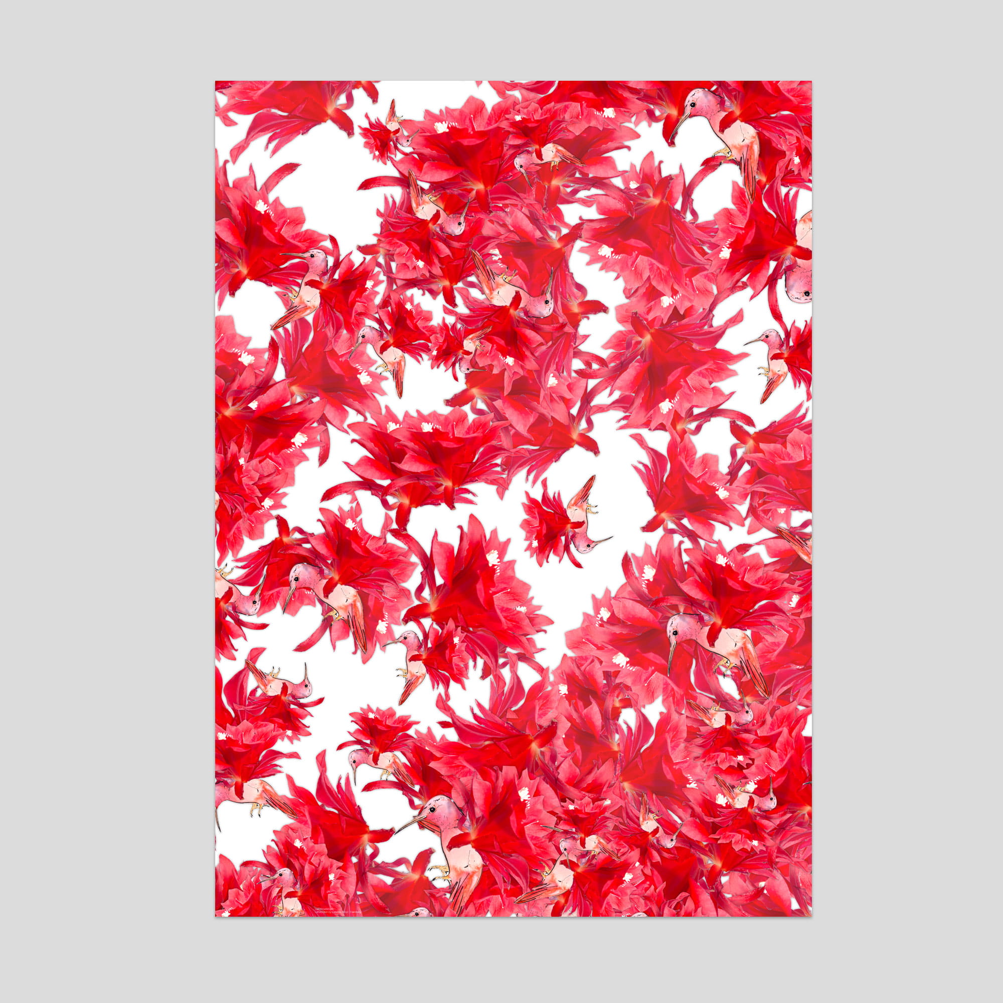 Lütteblüten Wilder Vogel Kolibri