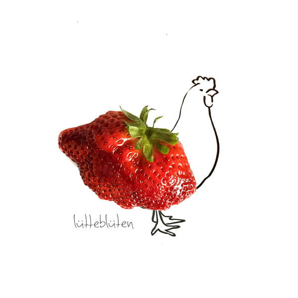 Huhn mit Erdbeeren Lütteblüten Gabriele Ampt