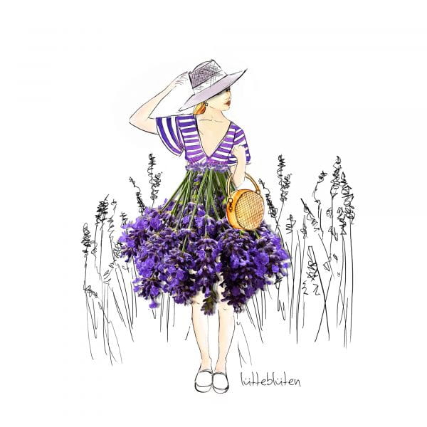 Lütteblüten Lavendel Provence