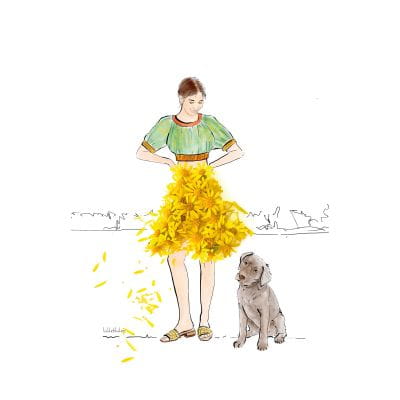 Vorschau: Lütteblüten Holland Urlaub Sommerferien Zeeland Vorschau: Lütteblüten Holland Urlaub Sommerferien Zeeland