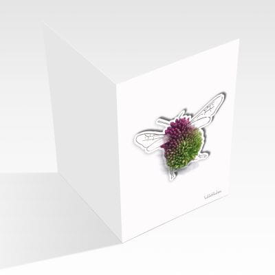 Lütteblüten Klappkarte Zierlauch Magnet & Sticker